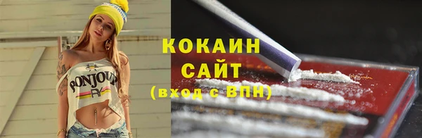 соль ск Волосово