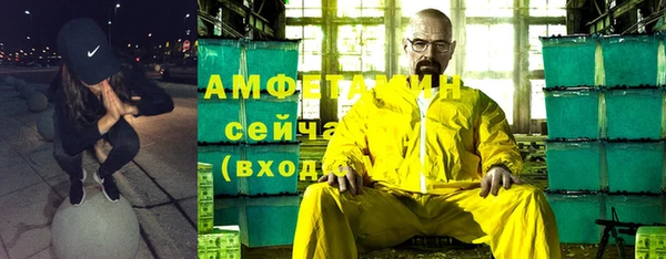 прущие грибы Елабуга