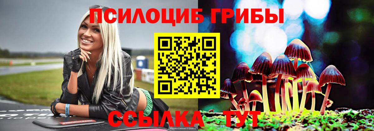 Галлюциногенные грибы мухоморы Елец