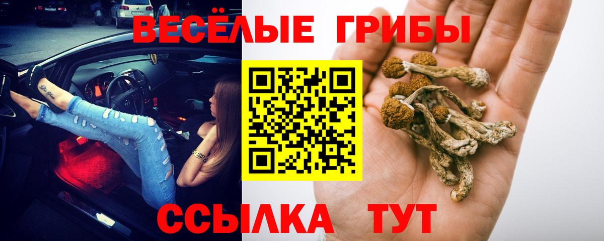 Галлюциногенные грибы ЛСД  Вход с VPN  Елец  Галлюциногенные грибы прущие грибы 